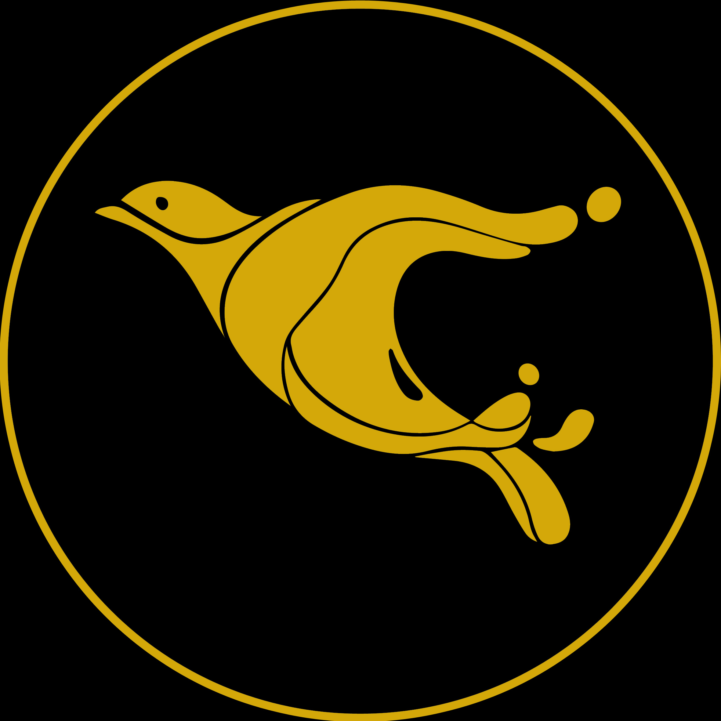 فروزان پیروزی