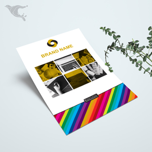 کاتالوگ 300 گرمی سلفون مات / چهاررنگ