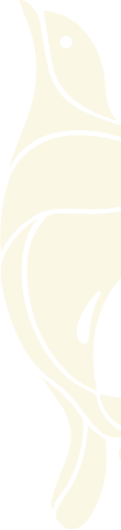bird-logo